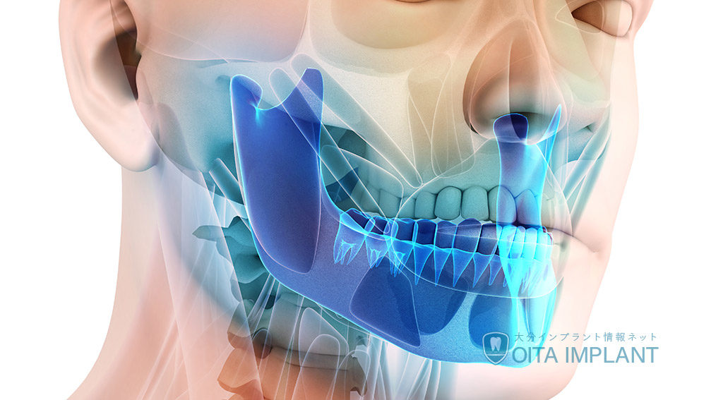歯の仕組みを理解しよう